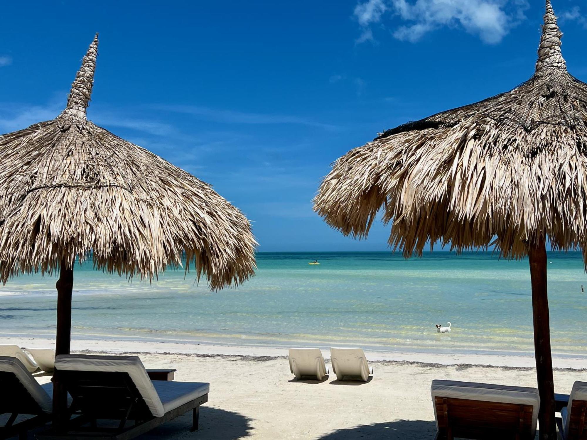 Palapas Del Sol Hotel Isla Holbox Exterior photo